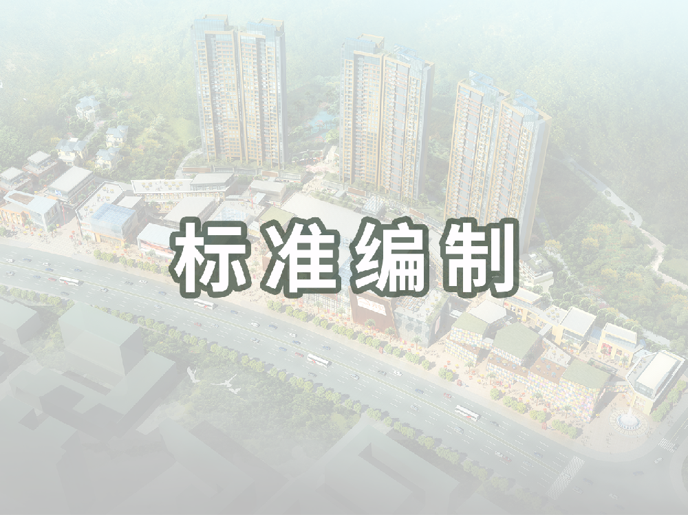 标准编制